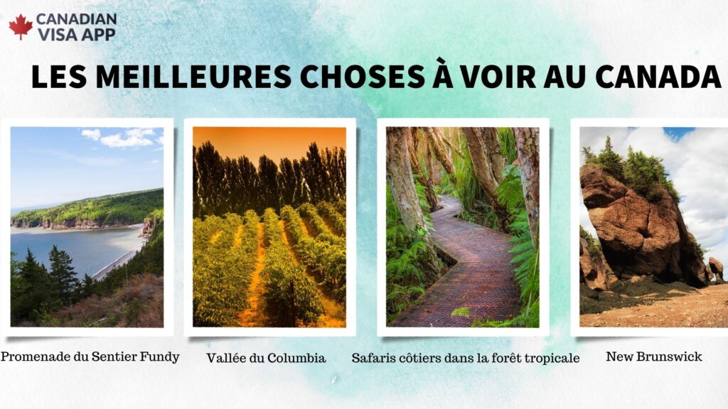 Canadian Visa App